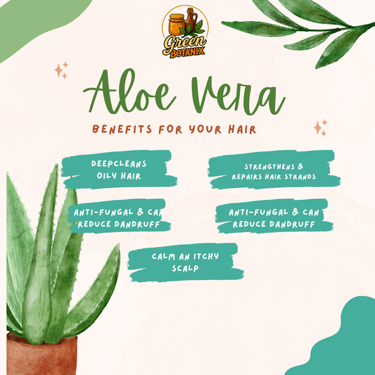 Green Botanix Aloe Vera Shampoo - Sulphate Free (200ml) - Thick Shiny & Nourished Hair